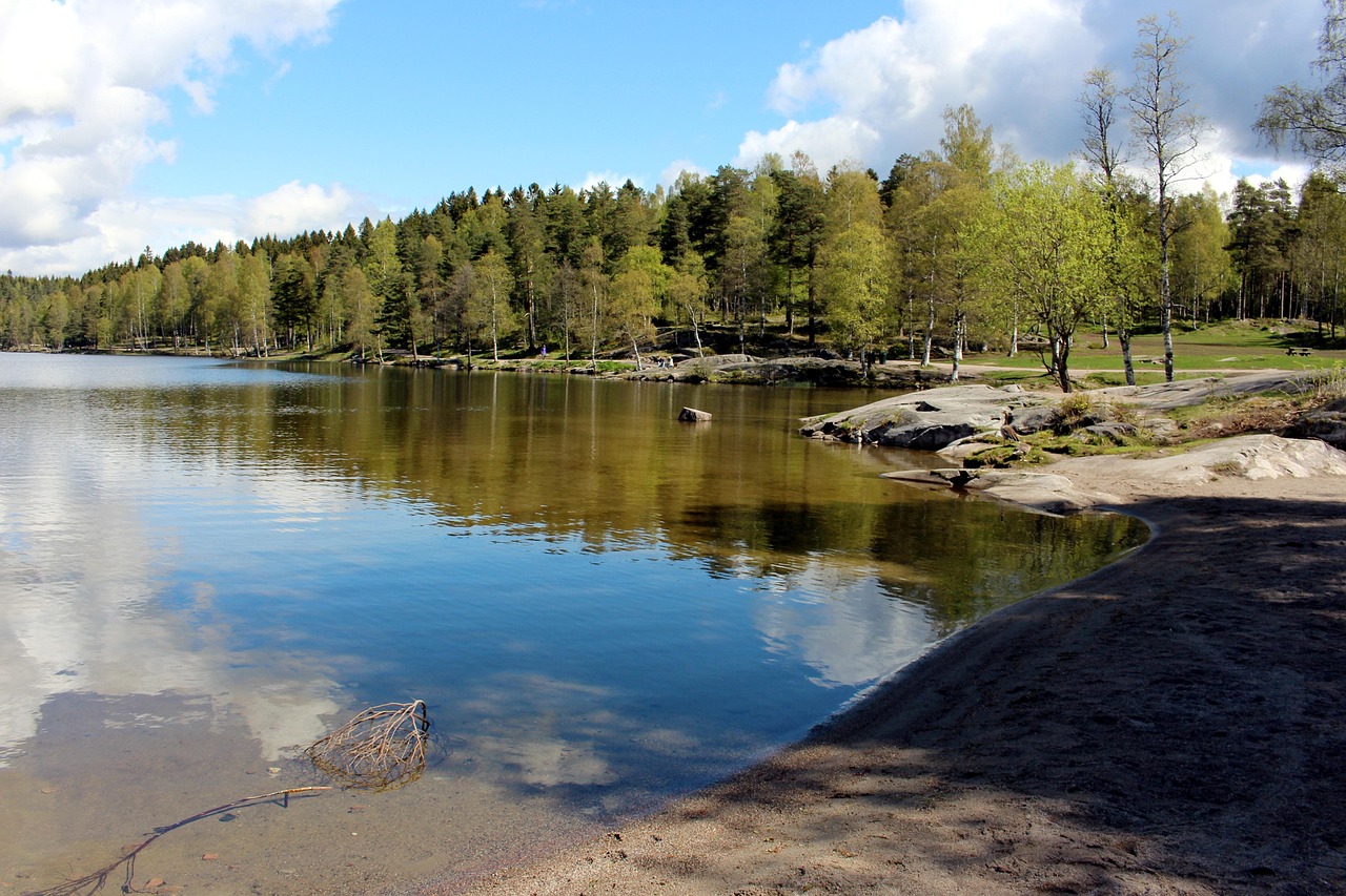 oslo, sognsvann, norway, lake, nordmarka, visitoslo, quiet, romance, alexandra von gutthenbach-lindau, water, geese, vacations, scandinavia, trees, oslo, oslo, oslo, oslo, oslo, sognsvann, sognsvann, sognsvann, nordmarka