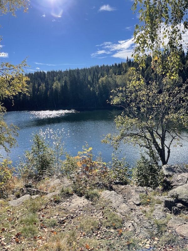 Utsikt mot Tryvann