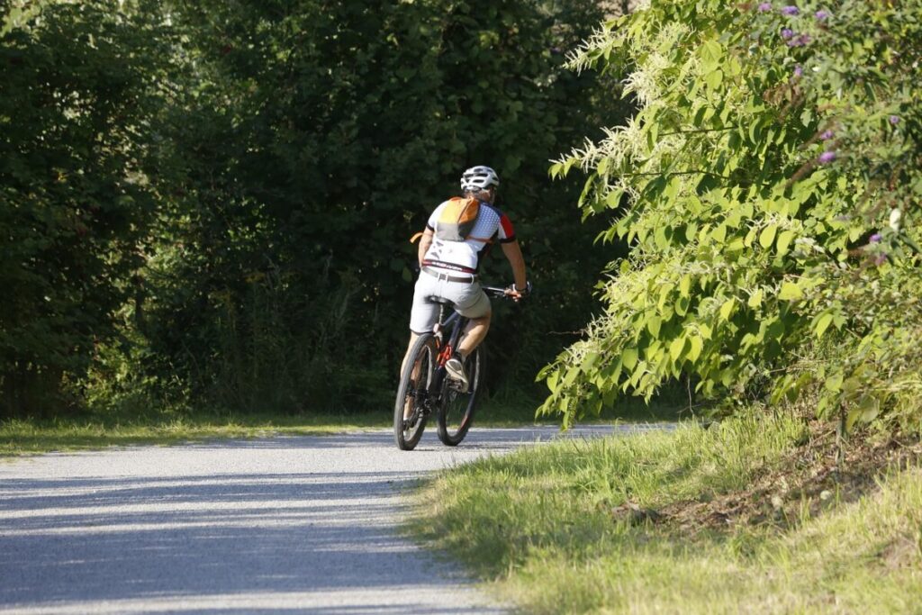 cyclist, bicycle, bike tour, sports, leisure, mountain bike, cycling tour, ride, athletic, bike, cycling, recreation, activity, road