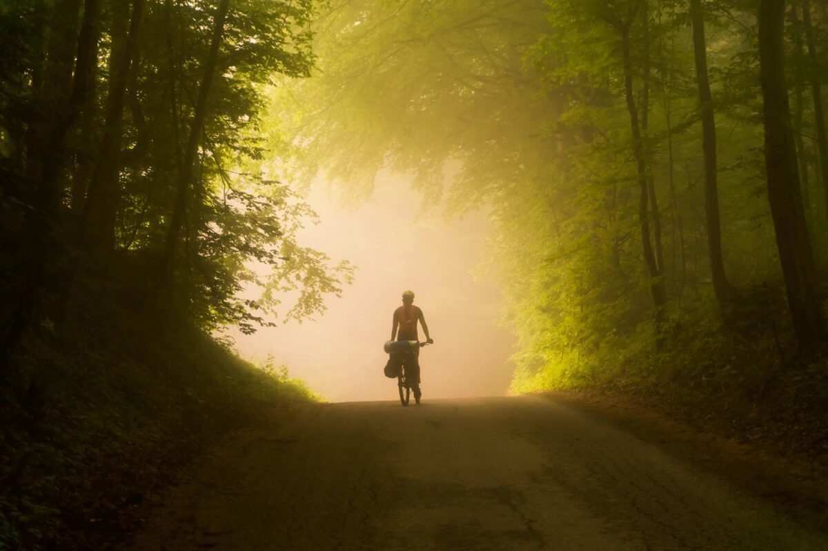 A cyclist rides through a misty, forested road at dawn, enveloped in the serene beauty of nature.